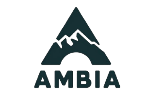 SEO Expert Ambia